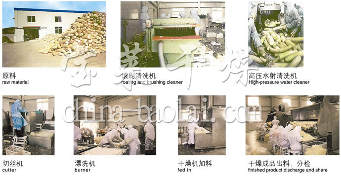 DWC系列脫水蔬菜帶式干燥機(jī)
